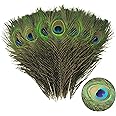 YFHUVB 15Pcs Peacock Feathers, Natural Large Feathers Peacock Feathers Long, Peacock Tail Feather for Wedding, Vase, Christmas Party Decoration, Peacock Costume, DIY Art & Craft