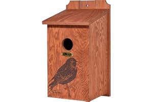 dobar Green Label 22362FSCe Star - Nido per uccelli selvatici, con motivo serigrafato, Ø 45 mm, colore: Marrone