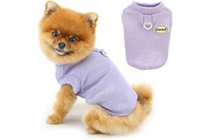 PAIDEFUL Chemise d'été solide pour chien, légère, respirante, fraîche - Protection solaire - T-shirt pour chiens - Sweat extensible pour chat - Vêtements vierges avec anneau en D - Violet, XXL