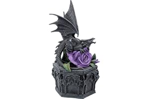 Nemesis Now Dragon Beauty Anne Stokes - Caja (Resina, 25 cm), Color Negro