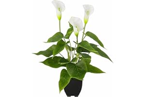 Flair Flower Kunstpflanze Calla im Topf Künstliche Blumen Kunstblumen Seidenblumen Kunststoff Unechte Deko Gefälschte Real Touch Grünpflanze exotische Lilie Grabdeko, 021140W, Weiß, 42x20x20 cm