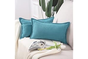 Madizz 2 Pezzi Federe Corto Ciniglia Copricuscini Morbido Decorativo Fodere per Cuscino Lusso Stile per Divano Camera da Letto Blu Pallido Rettangolare 30x50 cm