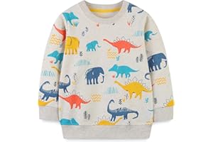 Gumyoss Felpa Bambino con Dinosauro Pullover Bimbo in Cotone Magliette Manica Lunga Ragazzi Autunno Inverno Felpa Bambini 2-7 Anni