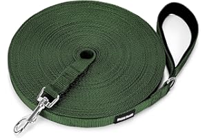 HAPPY HACHI Longe pour Chien, Laisse de Dressage pour Chien Longue Sangle en Nylon Mains Libre pour Chiens Chats Animal de Compagnie Promenade Arrimage Jogging (Vert, 20m/65ft)