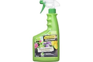 ALGOFLASH NATURASOL Anti-Chlorose Reverdissant Toutes Plantes, Prêt à l'Emploi, 750 ml, BIOCLOPRETAN, Vert
