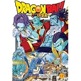 Dragon Ball Super, Vol. 17: God Of Destruction Power (Volume 17)