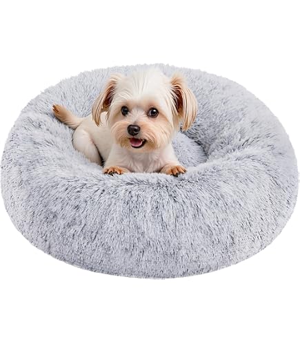 Panier Pour Chien Et Chat - Coussin Moelleux Rectangle Avec Bord Surélevé - Fond Antidérapant - Lavable