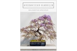 Exotic Bonsai Seeds with High Germination Rate - Plant Seeds Set for Your Own Bonsai Tree