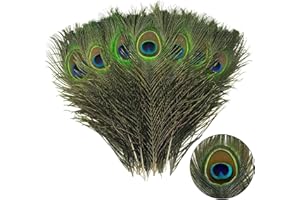 MORJCG 15Pcs Peacock Feathers, Peacock Feather, Peacock Feathers Long, Natural Large Peacock Eye Feathers, 10-12 Inches Peacock Tail Feather for Wedding, Vase, Christmas Party Decoration, DIY Art & Craft