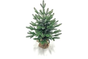 eveXmas Sztuczna choinka 55 cm, ADEL, klasyczna, zielona, 40 gałązek, 100% czubki PE, łącznie ze stojakiem i płótnem workowym