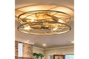 MOSSCO Deckenventilator mit Beleuchtung und Fernbedienung, Vintage Käfig Deckenleuchte, Ventilator Umkehrbar, 6 Windstufen, Lampe mit Ventilator Leise für Schlafzimmer 50cm