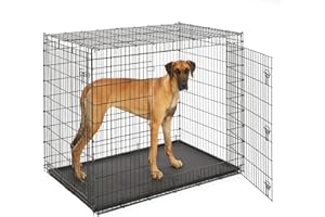 DOGHEALTH Dog Crate - Extra-Large with Single Door - 54" for Giant Breeds