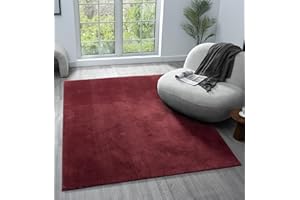 RUGS BY DESIRE Comfy Washable Modern Living Room Rug Polyester Plain Indoor Area Rug with Low Pile - Anti-Slip Felt Backing SuperSoft Carpet Bedroom-Hallway, Red, 120x160 cm