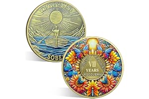 ACGZQY Moneta di sobrietà - chip sobrietà farfalla di girasole a 7 anni moneta e medaglioni un giorno alla volta sobrio narcotico token alcolisti regali di recupero anonimo