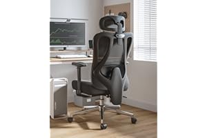 Hbada Ergonomic Office Chair Desk Chair with Rotatable Lifting Adjustable Lumbar Support and Headrest, Tilt Function Swivel Computer Task Chair with Footrest