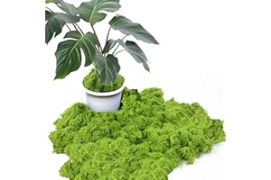 NOKWOCY mousse artificielle pour décorer, mousse artificielle décorative pour bricolage, présentation de table, arrangements floraux, jardin féérique et décoration de mariage (ArtificialmossLight-200G)