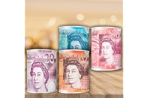 REPARO Piggy Bank Tin Money Box – Secure Money Box, Coin Jar - Money Tin for Saving and Counting Money Safely – Birthday Holiday & Christmas Fund (2 PCS of Medium Random)