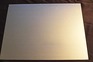 STAHLIGATOR Tôle d'acier galvanisé 0,50 mm - Tôle fine DX51 jusqu'à 1000 x 1000 mm - 400 mm x 600 mm