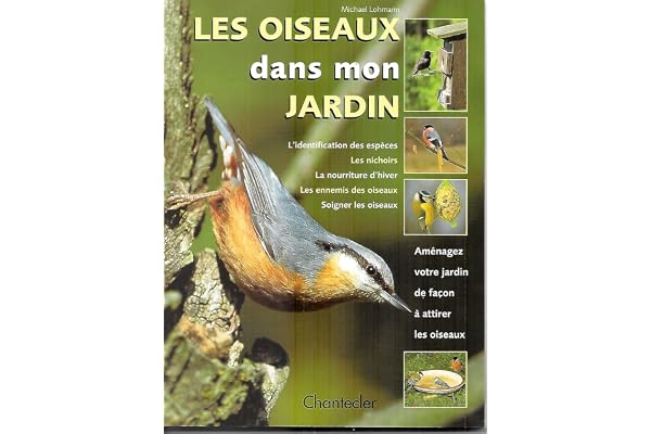 Les oiseaux dans mon jardin