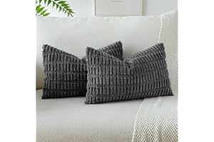 JOTOM Lot de 2 Housses de Coussins en Velours Côtelé Décoratif Canapé Taie d'oreiller Doux Decoration pour Maison Salon Chambre Canapé Décoration 40x60cm (Gris Foncé)