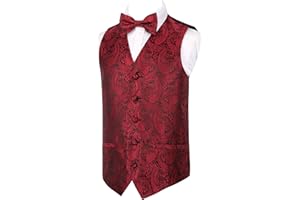 Alizeal Boys Classic Paisley Bow Tie and Suit Vest Set
