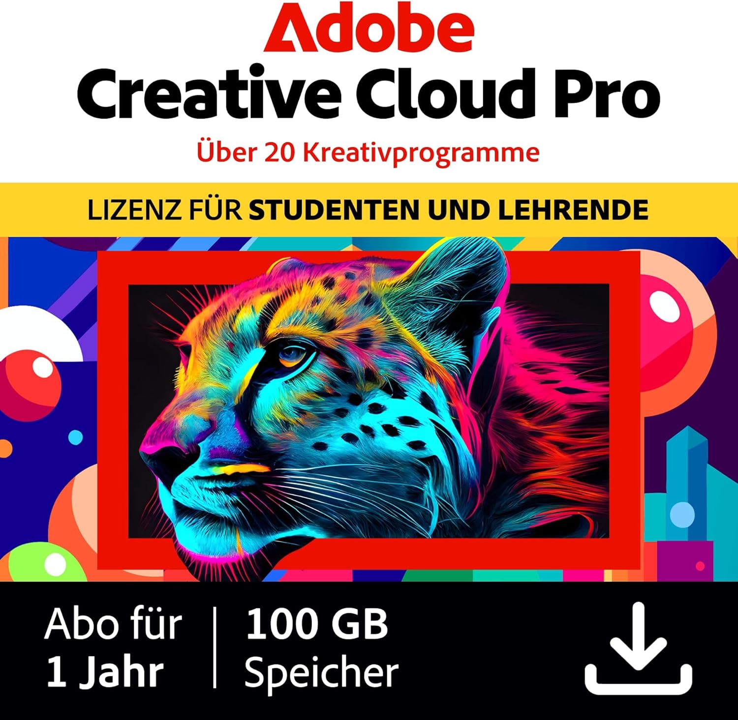 Vue 12