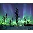 Wall Rogues WR50512 Aurora Borealis/Northern Lights - Paste The Wall Wallpaper Mural - 300cm x 240cm - Blue
