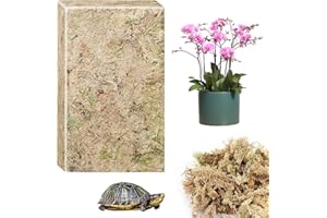 CONNECTION 190g Naturale Sfagno Muschio Secco Muschio di Sfagno per Piante Natural Fotrest Moss Sfagno Vivo per Idrocolture Bonsai Orchidee Giardino Decorazione Terrario Rettili