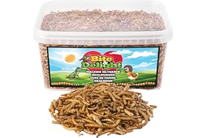 Bite & Delight MĄCZNIK MŁYNAREK SUSZONE LARWY LARWA ROBAKI KARMA DLA PTAKÓW KUR 500G 2,5l