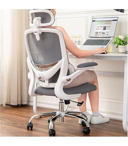 Marsail Ergonomic Office Chair - High Back Mesh With Adjustable Lumbar Support