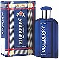 ST LOUIS INC BlueBerry Eau De Apparel Perfume 100 ml