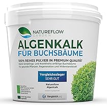 künstliche kerzen mit timer Timer mit Fernbedienung für LED-Kerzen – wasschenk