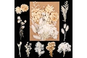 WEYSOO Trockenblumen,Natürliche Gemischte Getrocknete Blumen, Klein Trockenblumen Zum Basteln für DIY Epoxidharz Scrapbook Zubehör Handwerk Karten Machen (Weiß)