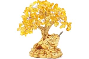 Bwinka Decoración de Sapo de Dinero de la Suerte, Ideal para atraer Riqueza, Rana de Riqueza para Caja registradora, Escritorio de Oficina, inauguración de la casa, Regalo de Apertura de Tienda