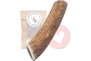 FOURLEGS® Asta Perro Natural Hecha de Asta de Ciervo 100% - con Minerales, Juguete Perro, Sabor a Venado, Huesos para Perros – Mordedor Perro – Tamaño M Entero