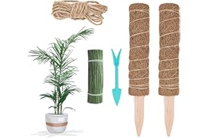 Basetousual 2 poteaux Tuteur Monstera Deliciosa, Tuteur Sphaigne, Tuteur Coco, Corde de Chanvre de 2 m et 20 Attaches en Fil de Fer, Convient pour Les Plantes Grimpantes en Pot