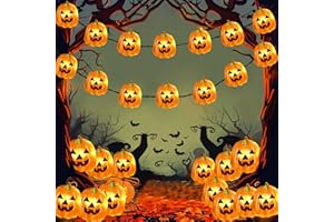 Coquimbo Decoration Halloween Guirlande Lumineuse, 3M 30 LED Guirlande Lumineuse Citrouille à Pile, Guirlande Halloween Interieur Extérieur pour Halloween Soirée Chambre Porche Jardin