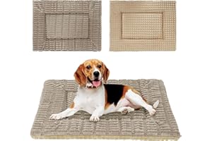 IEUUMLER Memory Foam Colchoneta para Perros y Gatos Cama, Cojín para Mascotas Suave cálido Lavable y Duradero de Doble Uso, Colchón para Perros Grandes y Medianos FC020 (Khaki,60x45cm)