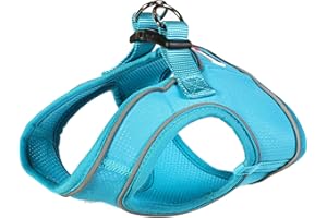 Doodlebone Snappy Harness, Aqua, 3