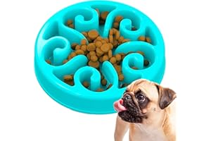 Edipets, Gamelle Anti Glouton Chat ou Chien, Plateau Interactif pour éviter l'Anxiété, pour Petits Animaux de Compagnie, Moyens et Grands (Bleu)