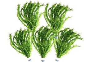 WATERPLANTS 5 Bund Wasserpest, Teich Pflanze, Wasserpflanze, Elodea Densa, Aquarium Pflanze, mini Teich Daxton-Plant