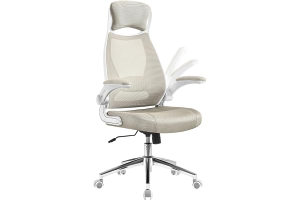SONGMICS OBN086K01 Office Chair