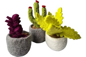 your castle 3er Set Ensenada Sukkulenten und Kaktus, künstliche Pflanzen im Topf aus Filz, fairer Handel, nachhaltige Deko aus Filz, realistische Kunstblumen, Filzblüten, Höhe ca. 11 cm