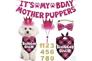 JOTFA Multi Sizes Dog Birthday Bandana & Hat - Girl Dog Crown, Bow Tie, Numbers - It’s My Bday Mother Puppers Sign Banner for Small Dogs (Pink, Small)