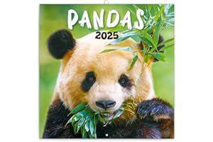 NOTIQUE Pandas Calendrier mural 2025 avec brochures mensuelles Calendrier mensuel Calendrier brochure Calendrier animaux 30 x 30 cm (30 x 60 cm ouvert)