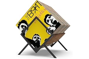 Showxeeyee Contenitore per dischi in vinile, per 80-100 dischi in vinile, minimalista e retrò, organizer per dischi in vinile, CD, riviste, libri, documenti