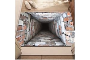 Jeeeun Optical Illusion Rug, 3D Rugs Optical Illusion Non-Slip Visual Trap Floor Mat for Indoor and Outdoor Use, Ideal for Doorway, Living Room, Bedroom and Porch Decor (#7,15.7 × 23.6 in)