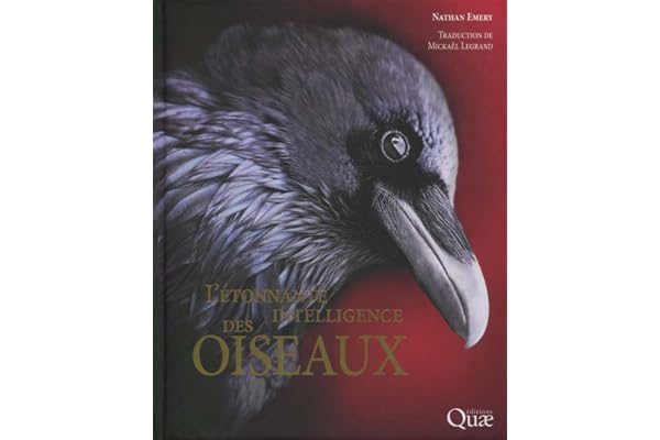 L'étonnante intelligence des oiseaux: Préface de Frans de Waal