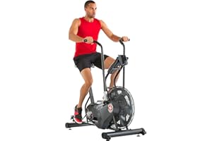 Schwinn AD6 Airdyne Vélo d'appartement