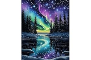 DAERLE Dipingi con i Numeri per Adulti Il cielo dell'aurora boreale, Splendide luci dell'aurora, Kit di Pittura acrilica Fai-da-Te per Principianti Facile su Tela, Decora la casa Regalo 30x40cm Senza Cornice